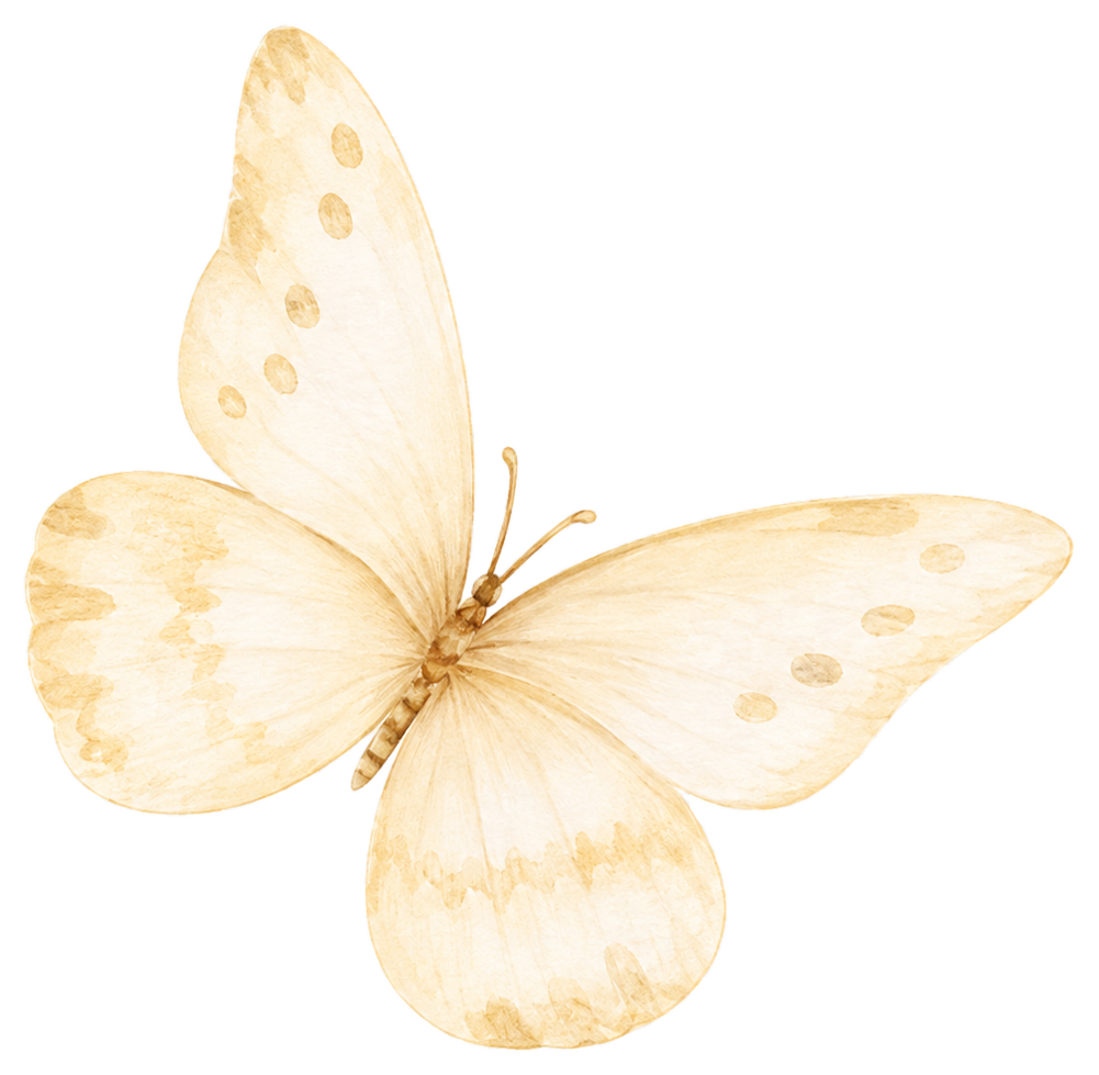 Kupu-kupu